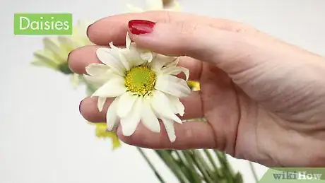 Image titled Make a Daisy Chain Step 1