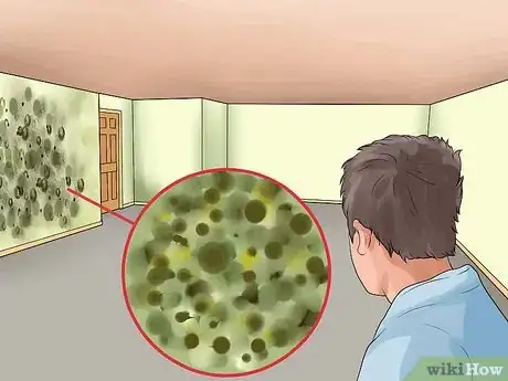 Image titled Spot Signs of Indoor Pollution Step 5