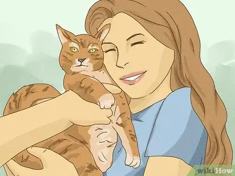 Image titled Help Animal Shelters During the Coronavirus Outbreak Step 1