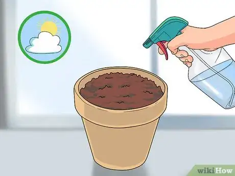 Image titled Grow Delphinium Step 6