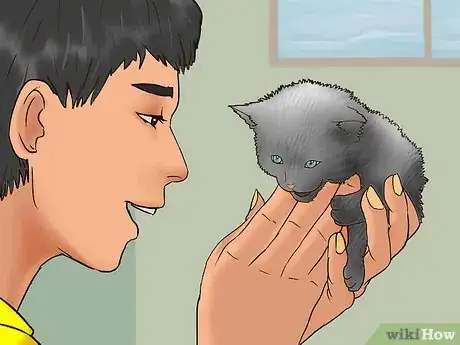 Image titled Earn the Trust of a Feral Kitten Step 14