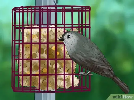 Image titled Use a Backyard Bird Feeder Step 5