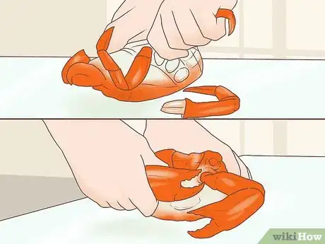 Image titled Dress a Crab Step 2