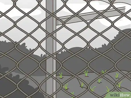 Image titled Grow Vegetables in the South (USA) Step 19