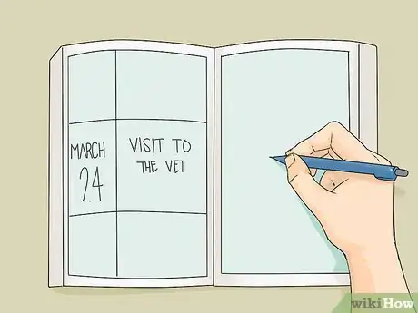 Image titled Care for a Balinese Step 5