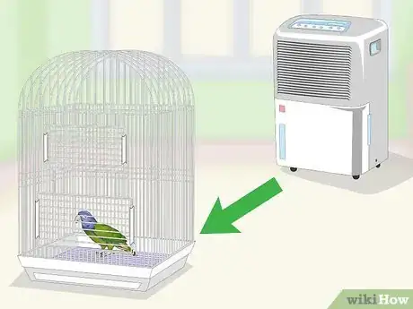 Image titled Keep Pionus Parrots Groomed Step 7