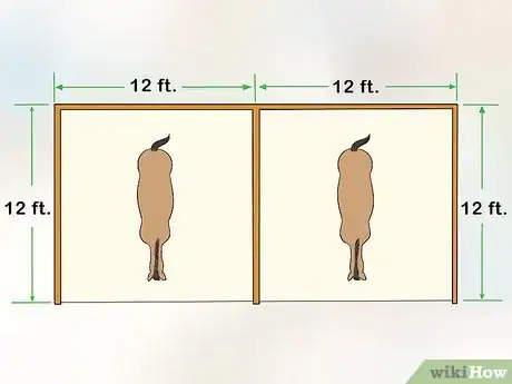 Image titled Shelter a Horse Step 2