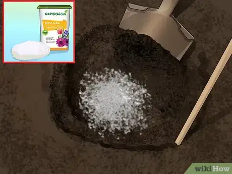 Image titled Grow Dahlias Step 9