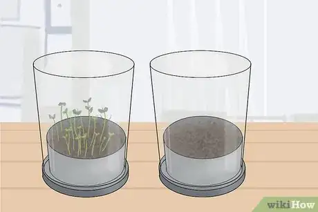 Image titled Become an Agricultural Scientist Step 5