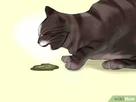 Image titled Treat Chronic Vomiting in Cats Step 7