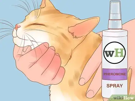 Image titled Keep Cats Safe on Halloween Step 12