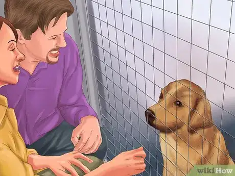 Image titled Buy a Dog Step 6