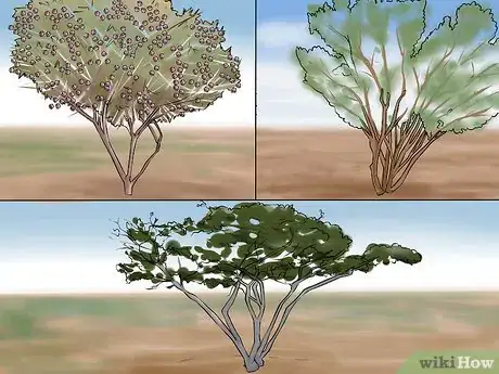 Image titled Design a Desert Garden Step 8