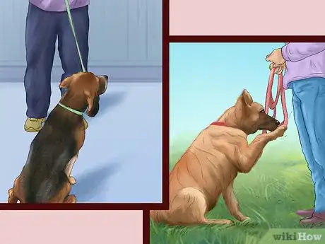 Image titled Avoid Confusing a Dog During Training Step 4