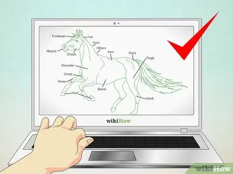 Image titled Draw a Realistic Looking Horse Step 2