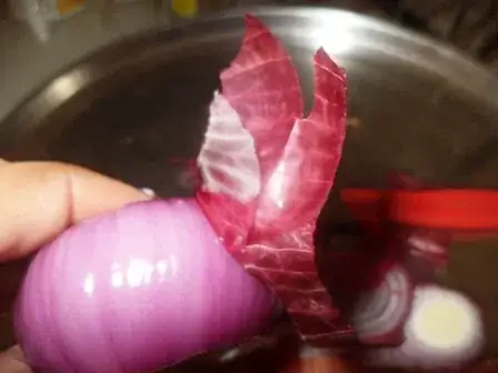 Image titled DSC02648.JPG