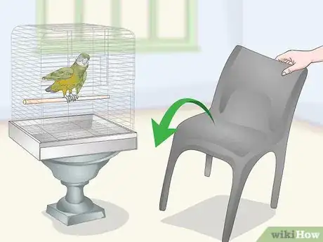 Image titled Deal with a Fearful or Stressed Senegal Parrot Step 14