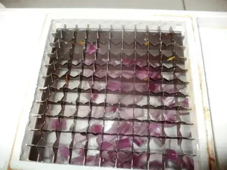 Image titled DSC02661.JPG