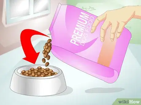 Image titled Reduce Flatulence in Dogs Step 2