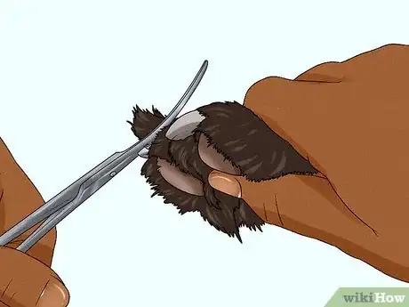 Image titled Use a Rotary Tool to Trim Your Pet's Nails Step 4