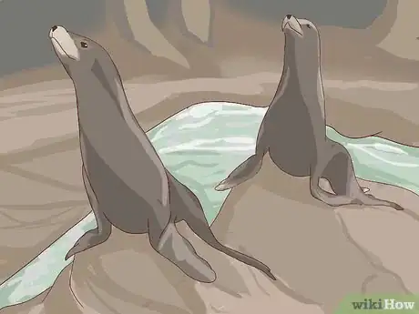 Image titled Visit SeaWorld San Diego Step 16