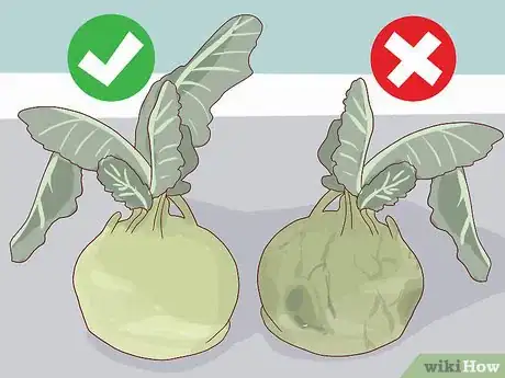 Image titled Select and Store Kohlrabi Step 3