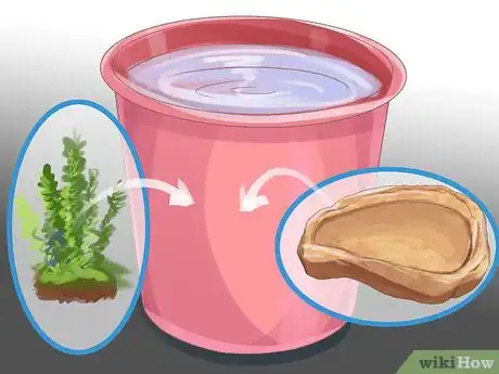 Image titled Clean a Fiddler Crab Tank Step 3