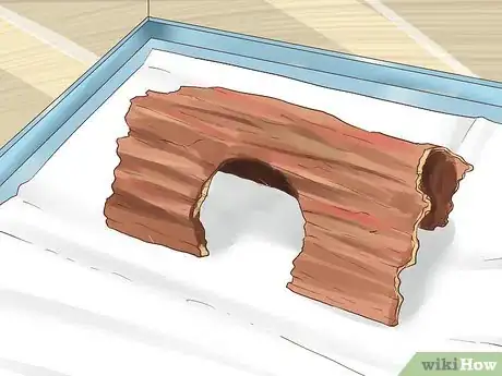 Image titled Set up a Green Anole Tank Step 3