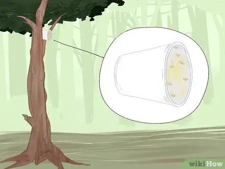 Image titled Make a Trap Step 20