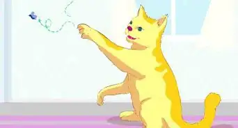 Keep Flies Away From You and Your Room