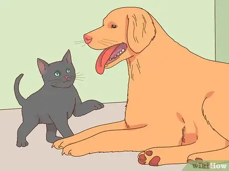 Image titled Choose the Right Kitten for Your Home Step 5