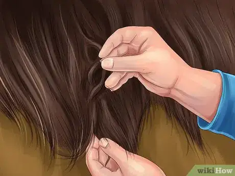Image titled Brush the Mane of a Horse Step 2