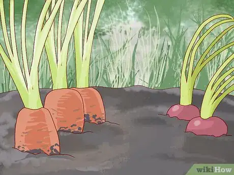 Image titled Prepare Your Garden for Winter Step 6