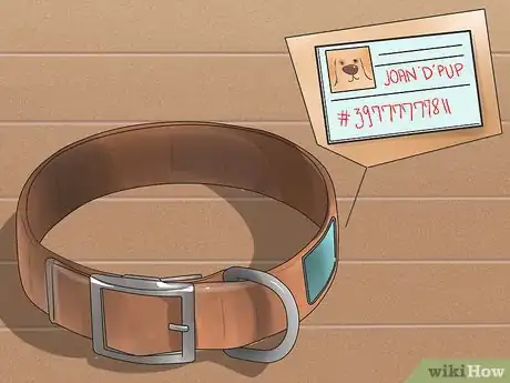 Image titled Prepare Your Dog for a Road Trip Step 10