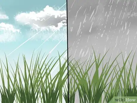 Image titled Plant Switchgrass Step 9