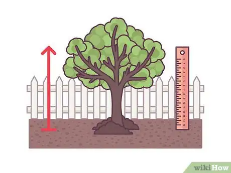 Image titled Stake an Apple Tree Step 5