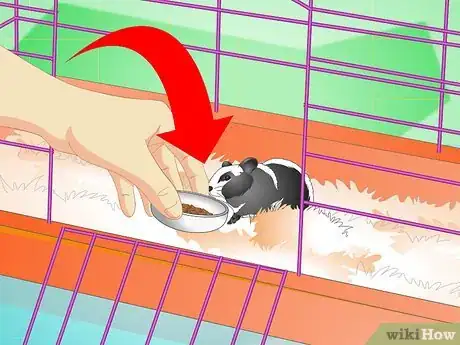 Image titled Keep a Hamster Healthy Step 5