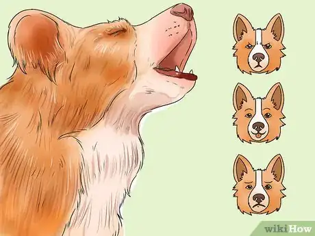 Image titled Decode Your Dog's Barks Step 1