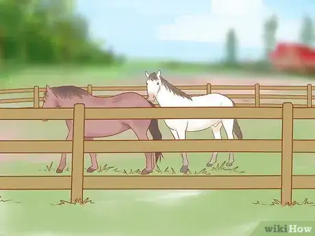 Image titled Handle and Control a Stallion Step 11