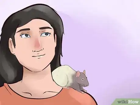 Image titled Train Your Rat to Do Tricks Step 12
