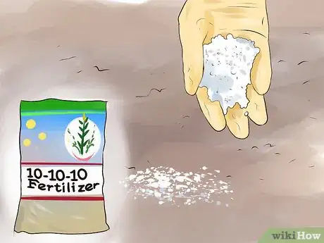 Image titled Grow Sweet Corn Step 6