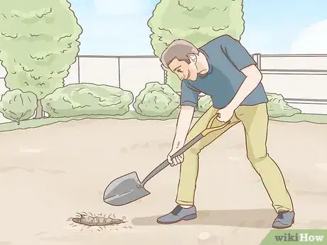 Image titled Plant a Mesquite Tree Step 13