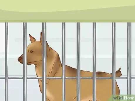 Image titled Interact with a Dog Before Adopting It Step 3