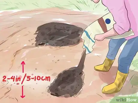 Image titled Grow Sweet Corn Step 5