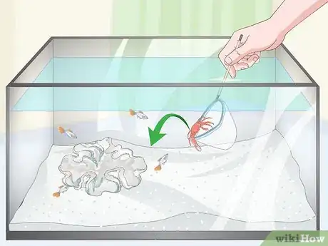Image titled Reduce Saltwater Reef Aquarium Maintenance Step 3