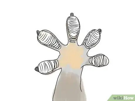 Image titled Choose a Leopard Gecko Step 4