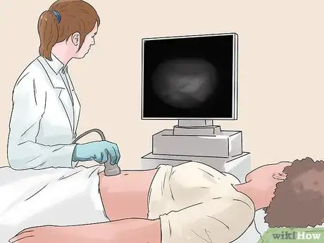 Image titled Prevent a Dog and Cat Tapeworm Infection (Dipylidium Infection) Step 17