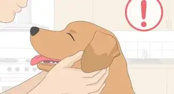 Deal with the Coronavirus Outbreak: Your Most Common Questions Answered