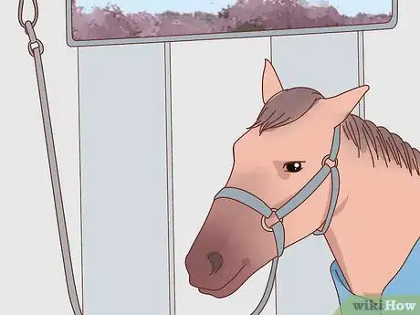 Image titled Transport a Horse Step 9
