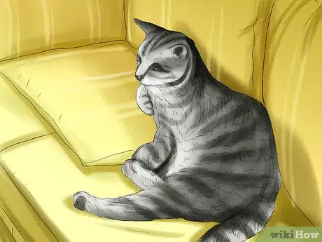 Image titled Provide High Resting Spaces for Your Cat Step 3